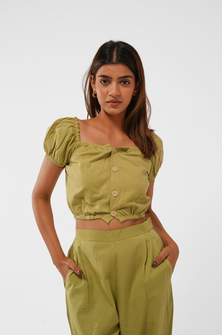 Fern Top